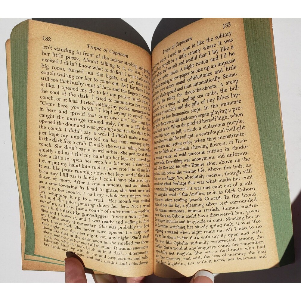 Tropic Of Capricorn & Sexus by Henry Miller Vintage Paperbacks 1961 & 1973 - Picture 7 of 16